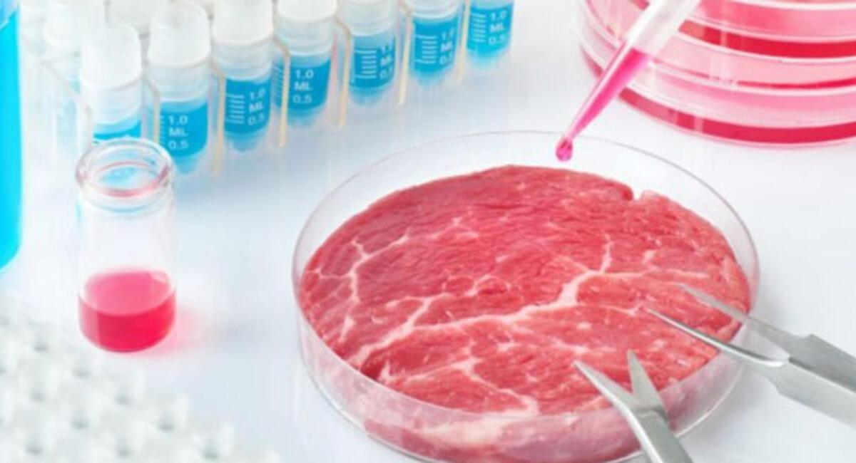 “LABGROWN MEAT WILL PLAY AN IMPORTANT ROLE IN THE GULF’S FOOD SECURITY